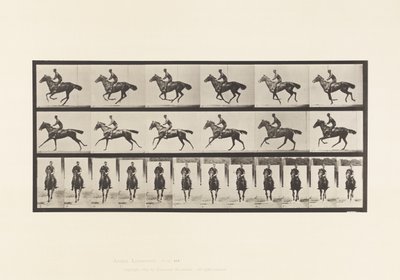 Tafel 632. Galopp; Sattel; Vollblut Braunes Pferd Bouquet von Eadweard Muybridge