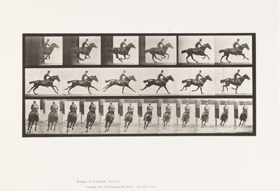 Tafel 633. Galopp; Sattel; Vollblut-Braunes Pferd Bouquet von Eadweard Muybridge
