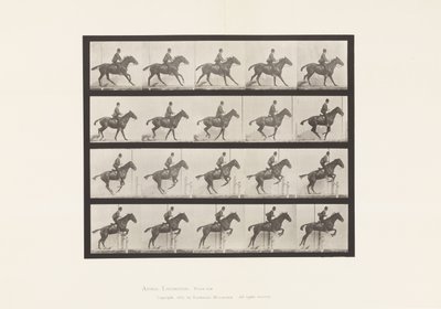 Tafel 636. Hürdensprung; Sattel; Vorbereitung auf den Sprung von Eadweard Muybridge