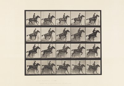 Tafel 638. Hürdensprung; Sattel; Braunes Pferd Daisy von Eadweard Muybridge