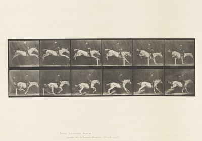 Tafel 641. Hürde überspringen; Sattel; Hürde umstoßen und von Eadweard Muybridge