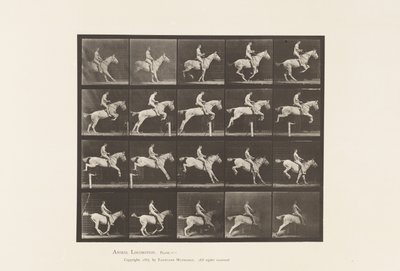 Tafel 642. Hürdensprung; Sattel; Reiter, 105, Nackt; graue Stute, 1885 von Eadweard Muybridge