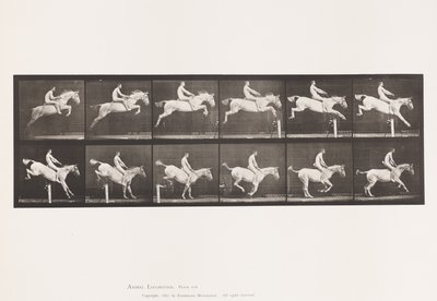 Tafel 643. Hürde überspringen; Ohne Sattel; Überwinden und Landen von Eadweard Muybridge