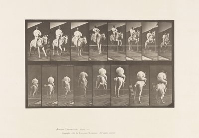 Tafel 644. Ein Hindernis überspringend; Sattel; Überwinden und Landen von Eadweard Muybridge