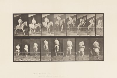 Tafel 645. Springen über ein Hindernis; Sattel; Überwinden und Landen von Eadweard Muybridge