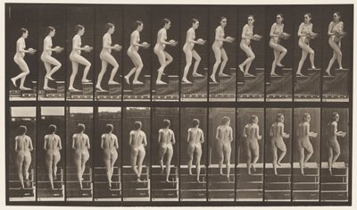 Tafel 94. Treppensteigen, Umschauen; Becken in den Händen von Eadweard Muybridge