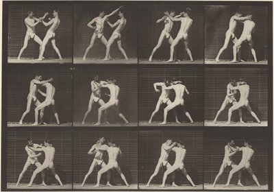 Tafel Nummer 340. Boxen, offene Hand (Schuhe), 1887 von Eadweard Muybridge