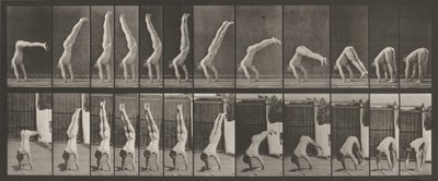 Tafel Nummer 371. Akrobat, vertikaler "Press Up", 1887 von Eadweard Muybridge