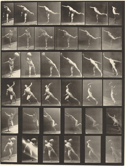 Tafel Nummer 523. A: Einen Schlag ausführen. B, E: Diskus werfen. C, F: Einen 75-Pfund-Stein heben. D: Einen Ball werfen von Eadweard Muybridge