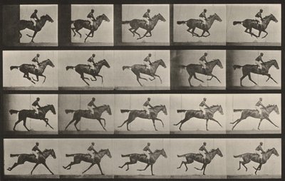 Tafel Nummer 627. "Annie G." im Galopp von Eadweard Muybridge