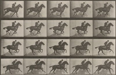 Tafel Nummer 628. "Daisy" im Galopp von Eadweard Muybridge
