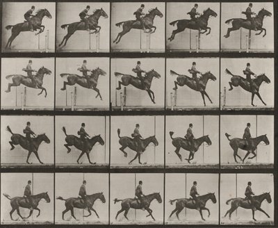 Tafel Nummer 637. "Daisy" springt über ein Hindernis, gesattelt, springend, landend und erholend von Eadweard Muybridge