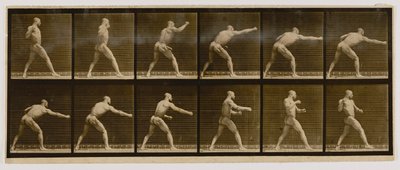 Boxer, der einen Schlag ausführt, aus dem Buch Animal Locomotion von Eadweard Muybridge