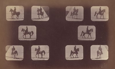 Studien von Verkürzungen. Pferde. Gehen. Mahomet. Nr. 119-120 von Eadweard Muybridge