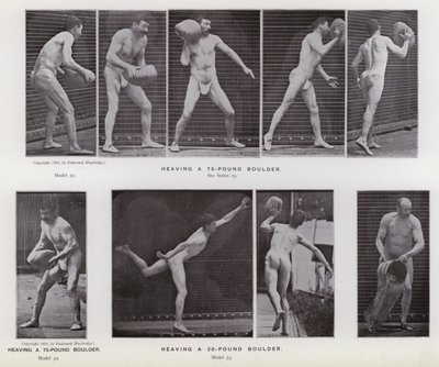 Die menschliche Figur in Bewegung: Einen 75-Pfund-Brocken heben; Einen 20-Pfund-Brocken heben von Eadweard Muybridge