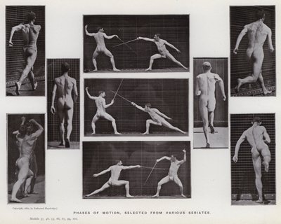 Die menschliche Figur in Bewegung: Phasen der Bewegung, ausgewählt aus verschiedenen Serien von Eadweard Muybridge