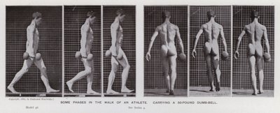 Die menschliche Figur in Bewegung: Einige Phasen im Gang eines Athleten, der eine 50-Pfund-Hantel trägt von Eadweard Muybridge