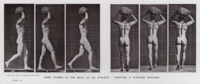 Die menschliche Figur in Bewegung: Einige Phasen im Gehen eines Athleten, der einen 75-Pfund-Brocken trägt von Eadweard Muybridge