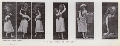 Die menschliche Figur in Bewegung: Verschiedene Bewegungsphasen von Eadweard Muybridge