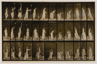 Frau wirft Taschentuch in die Luft, hebt es auf, aus dem Buch Animal Locomotion von Eadweard Muybridge