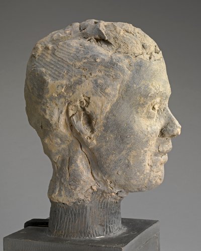 Kopf, Studie für ein Porträt von Mme Salle, ca. 1892 von Edgar Degas