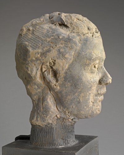 Kopf, Studie für ein Porträt von Mme Salle, ca. 1892 von Edgar Degas