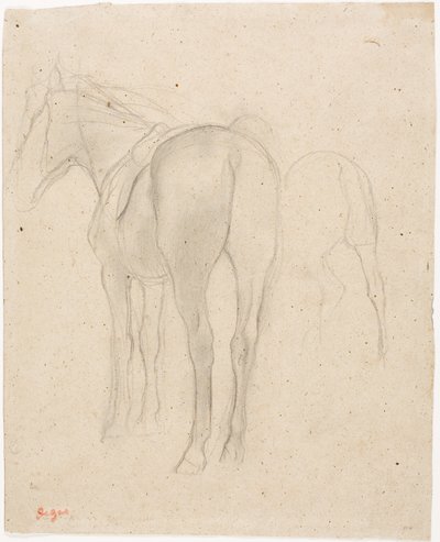 Studien eines Pferdes von Edgar Degas