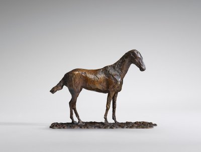 Studie eines Mustangs von Edgar Degas