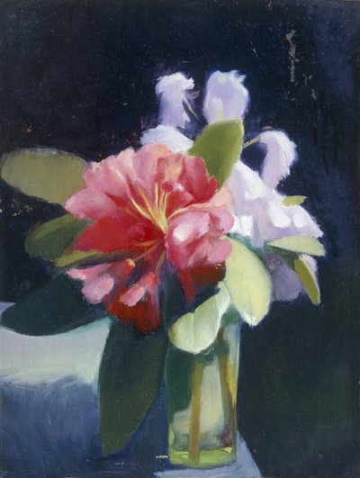 Rhododendren von Edgar Herbert Thomas
