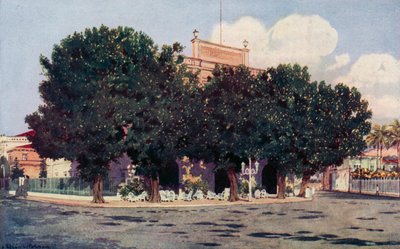 Das Hotel dos Estrangeiros, frequentiert von der offiziellen Welt von Rio und angesehenen Ausländern von Edgar L. Pattison