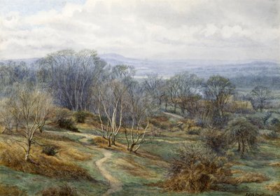Hampstead Heath Blick auf Harrow on the Hill, ca. 1880 von Edith Martineau