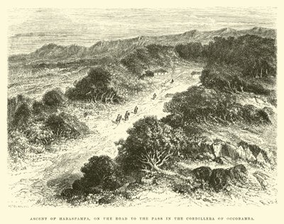 Aufstieg von Habaspampa, auf dem Weg zum Pass in der Cordillera von Occobamba von Edouard Riou