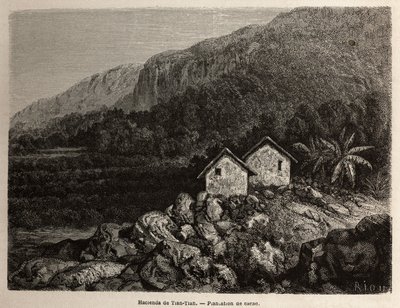 Hacienda von Tian Tian, Peru und Kakaoplantage, Zeichnung von Riou zur Illustration von Paul Marcoys Reise durch Südamerika von 1848 bis 1860. Gravur in „Le tour du monde“, herausgegeben von Edouard Charton von Edouard Riou