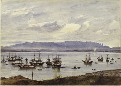 Panorama von Rio de Janeiro von Eduard Hildebrandt