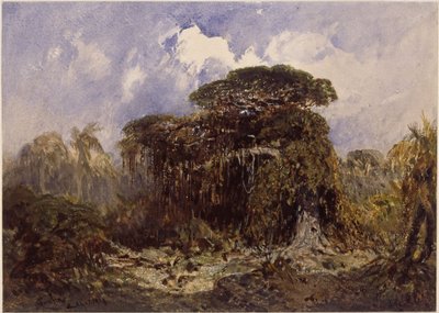 Waldstudie von Eduard Hildebrandt