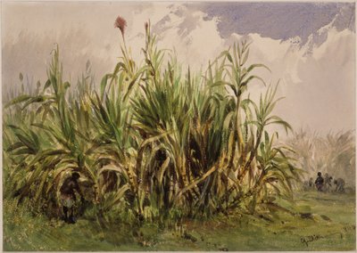  von Eduard Hildebrandt