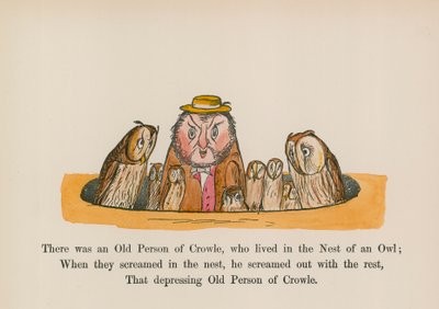 Es war eine alte Person aus Crowle, die im Nest einer Eule lebte von Edward (after) Lear
