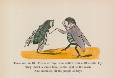 Es war eine alte Person aus Skye, die mit einer Schmeißfliege Walzer tanzte von Edward (after) Lear