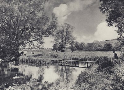 Wasserwiesen des unteren Itchen von Edward Alfred Barton