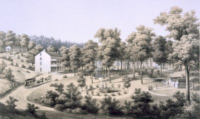 Stribling Springs, Spa-Dorf, Augusta Country, 1858 von Edward Beyer
