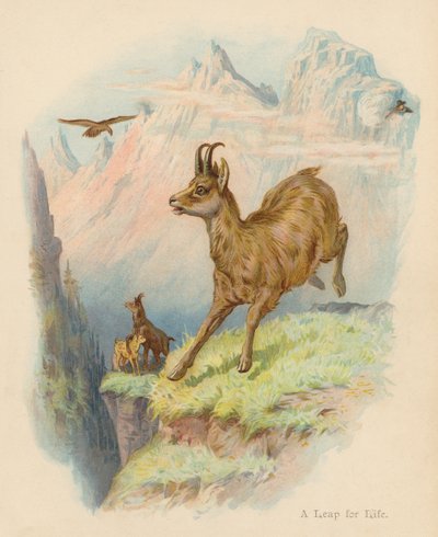 Ein Sprung fürs Leben von Edward Brice Montefiore