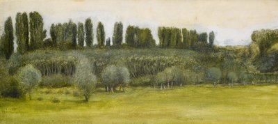 Landschaft mit Weiden und Pappeln, Studie von Edward Burne Jones