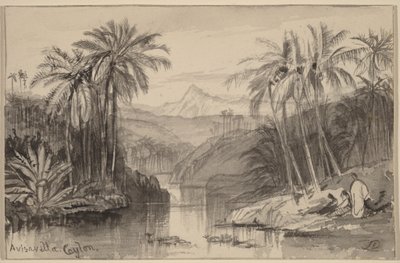 Avisavella, Ceylon von Edward Lear