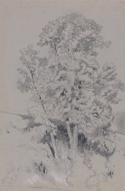 Burpham, 4. Oktober 1834 von Edward Lear