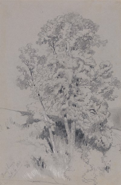 Burpham 4. Okt. 1834 von Edward Lear