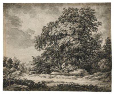 Waldlandschaft von Edward Lear