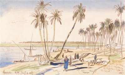 Sowadi, 8:30 Uhr, 4. Januar 1867 von Edward Lear