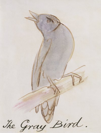 Der Graue Vogel, aus 