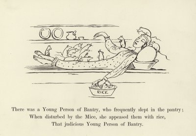 Es war eine junge Person aus Bantry, die häufig in der Speisekammer schlief von Edward Lear