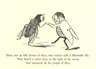 Es war eine alte Person von Skye, die mit einer Schmeißfliege walzte von Edward Lear